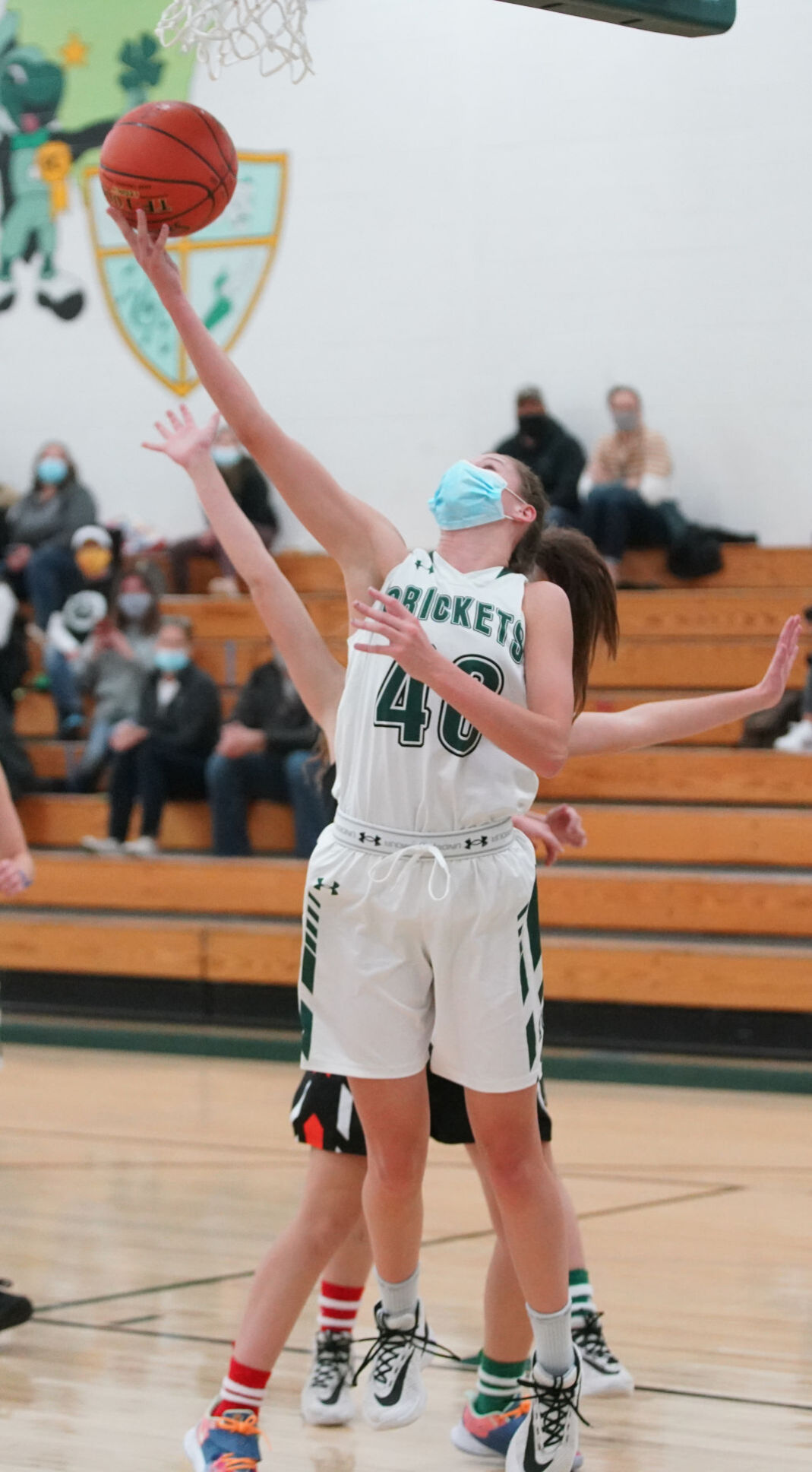 Fall Creek Elk Mound girls basketball